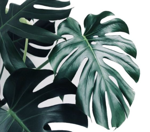 Мир на ладони/TPG agency