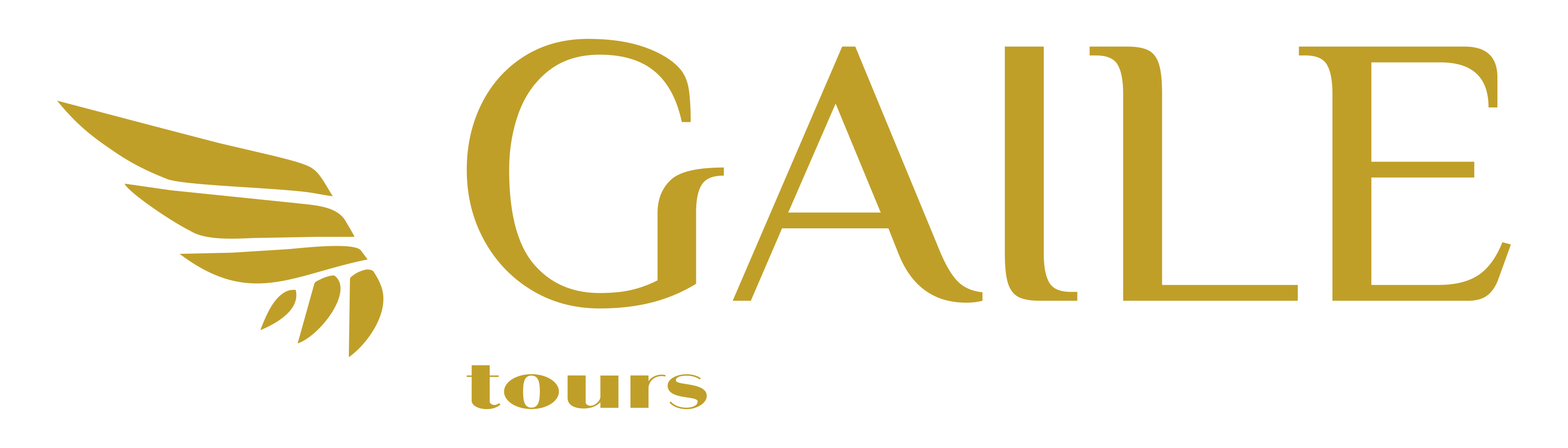 Gaile Tours