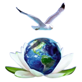 Изи тревел Комарова